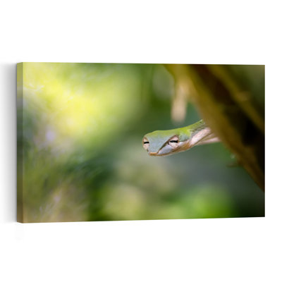 Sleepy Green Snake Abstract Snake Forest Landscape Wall Art Print 1 Piece Wrapped Canvas Wall Art
