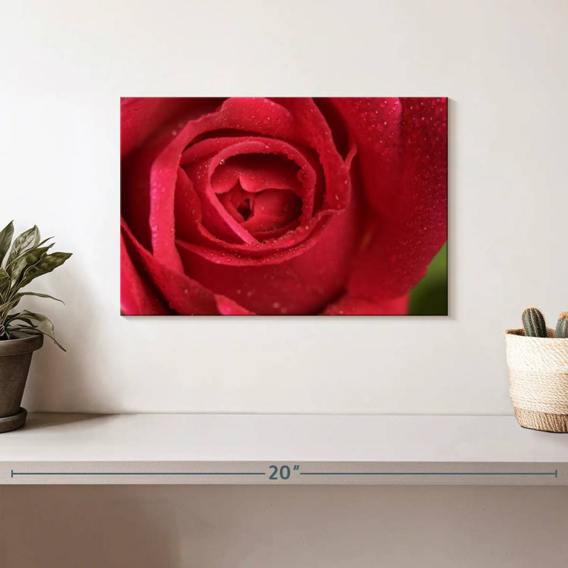 Rose rouge Harnek, H 8 po x l 12 po