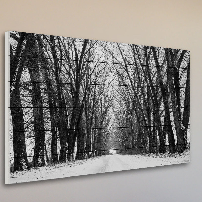 «Rows Of Trees» par Parvez Taj - reproduction de photo non encadrée sur bois, H 40 po x l 60 po x P 1,5 po