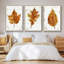 Autumn Leaf Study I - Ensemble de 3 reproductions de photos sur toile-97757417-97757421