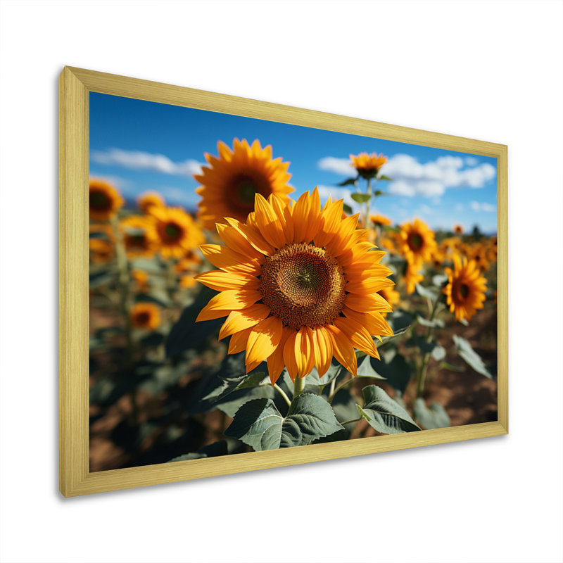 Tournesols jaune champ vibrant II, H 12 po x l 20 po x P 1 po, Encadrement doré