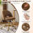 Task Chair Office Desk Chair Make Up Chair With Wheels-108658028-100006633