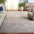 Calidia Oriental Beige/Cream Area Rug-20944438