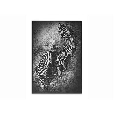 PRINTED CANVAS ZEBRAS - Wrapped Canvas Painting
