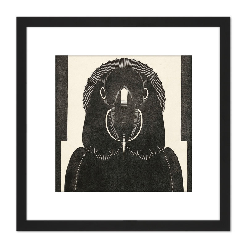 Mesquita Macaw Parrot Bw Bird Design - Single Picture Frame Print