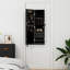 Nashyah Jewelry Armoire-198271744