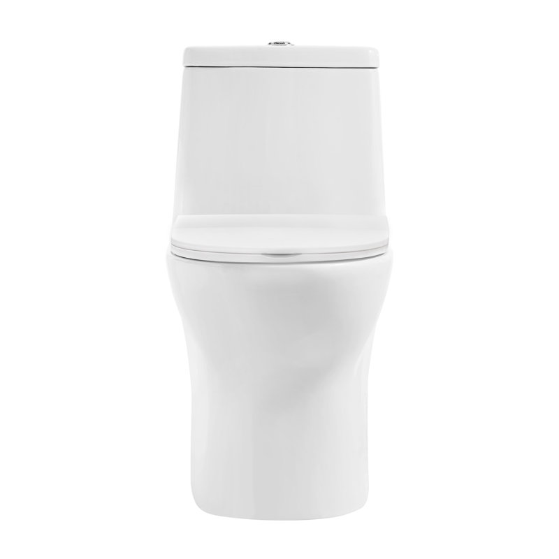 Ivy One-Piece Elongated Toilet Vortex Dual-Flush 1.1/1.6 gpf, 12, White, Top