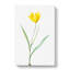 Yellow Tulip Flower by Pierre-Joseph Redoute - Wrapped Canvas-55319825