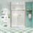 Glass Shower Door