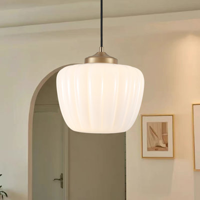 Luminaire suspendu simple 1 lumière