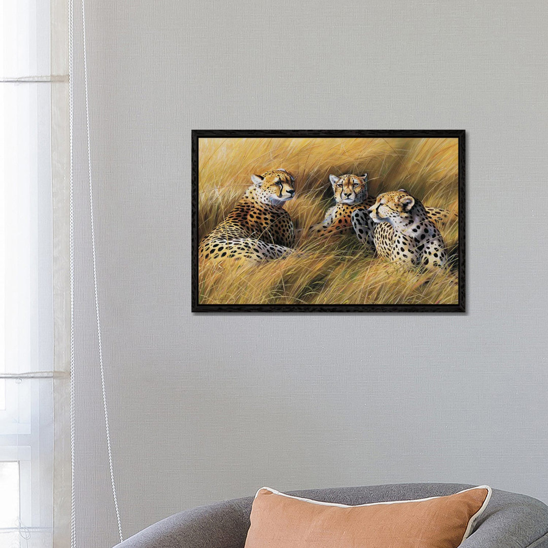 Africa Grass Cheetahs von Grant Hacking - Gallery-Wrapped Canvas Giclée on Canvas