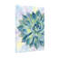 Plantes et fleurs, plante grasse, reproduction d'art