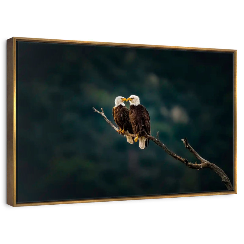 California Bald Eagles, Cadre flottant doré, 31 po x 21 po