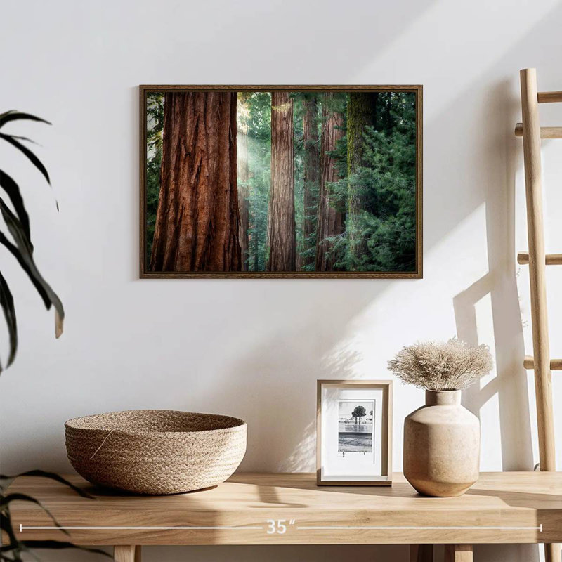 Sunkissed Sequoia Trees, 19" X 13", Floating Frame Walnut