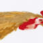 Coussin White Chicken Love