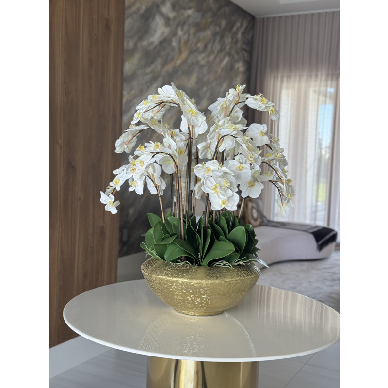 Blaze Bowl With Phalaenopsis Orchids, White