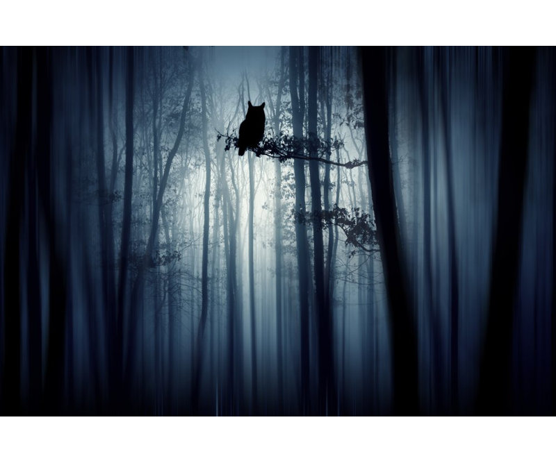 Wrapped Canvas Print, 60.96 cm H x 91.44 cm W