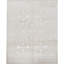 Oriental Area Rug in Beige