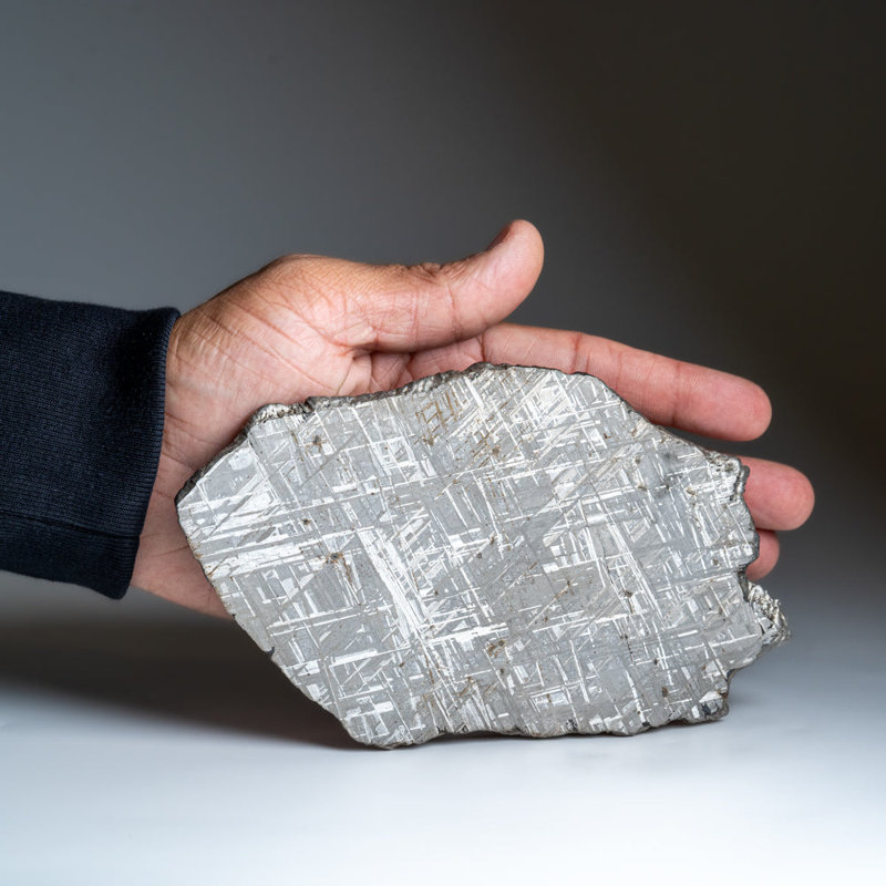 Genuine Muonionalusta Meteorite Slice (394 Grams)