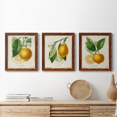 " French Lemon I " 2 - Pieces Painting Print