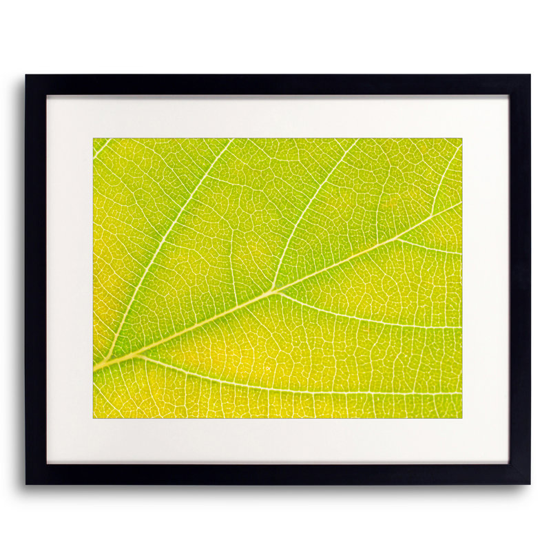 Autumn Leaf by Philippe Monthoux, Black Framed Paper, 16" H x 20" W