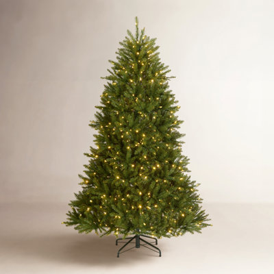 Leterra Dunhill Pre-Lit Fir Christmas Tree