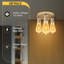 Nantan Spotlight-338736453-338736449