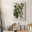 Pl 12 Baltimore Oriole - impression sur toile tendue-191985136