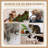 251.46cm H Cat Tree