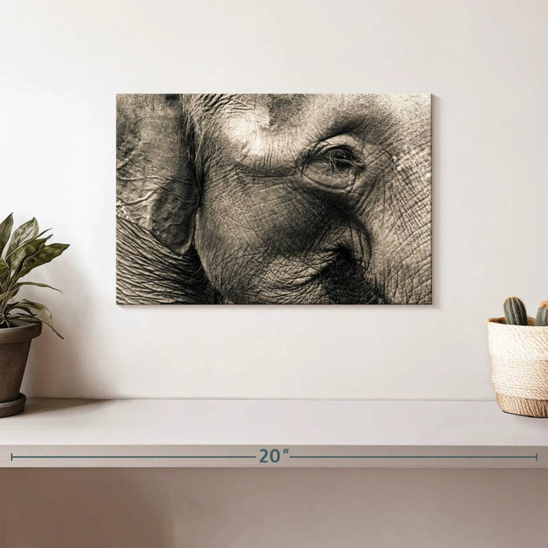 Visage d'éléphant Brampt, H 8 po x l 12 po