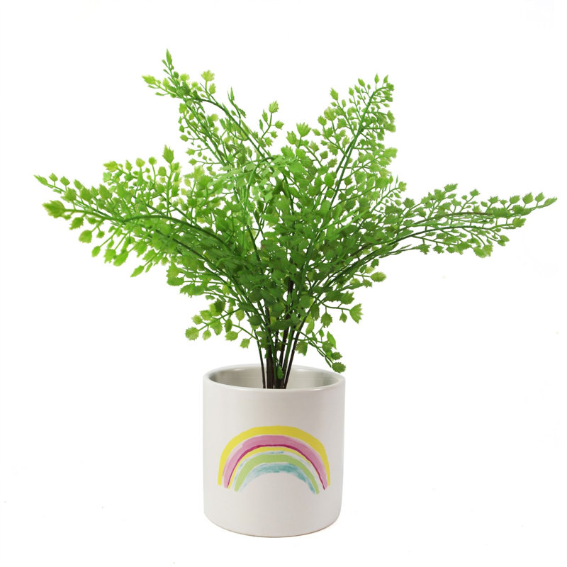 Ceramic Indoor Cachepot