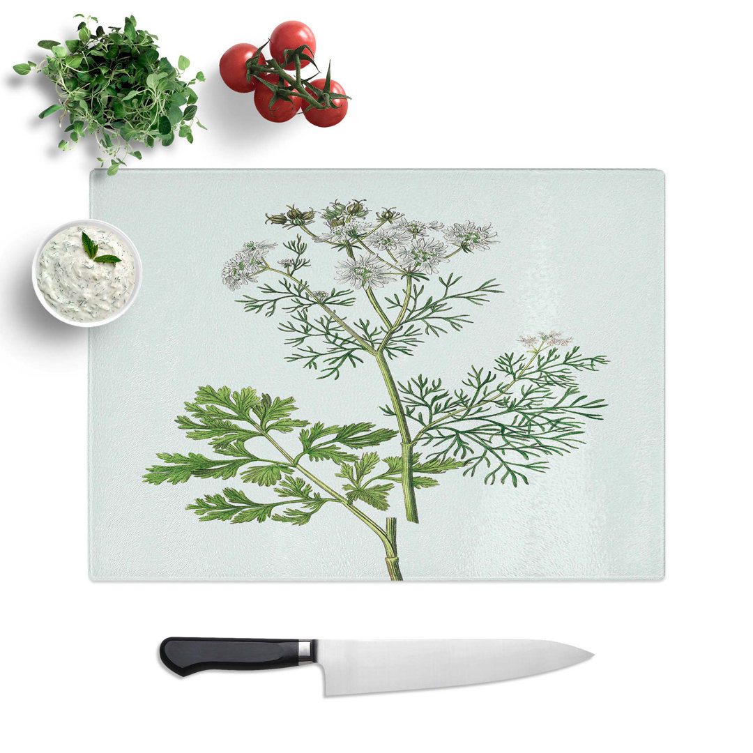 Tempered Glass Coriander Flowers Illustration Chopping Board