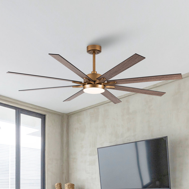 Boleslaus 65'' 8-Blade Reversible Ceiling Fan with Remote Control and LED Light