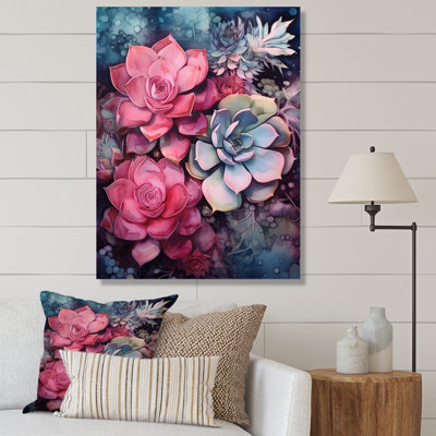 Rose, bleu sarcelle, résilience succulente
