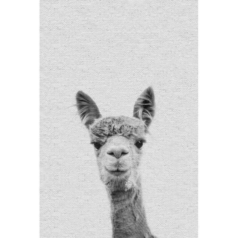 «Llama Face III», reproduction sur toile, H 12 po x l 8 po x P 1,5 po