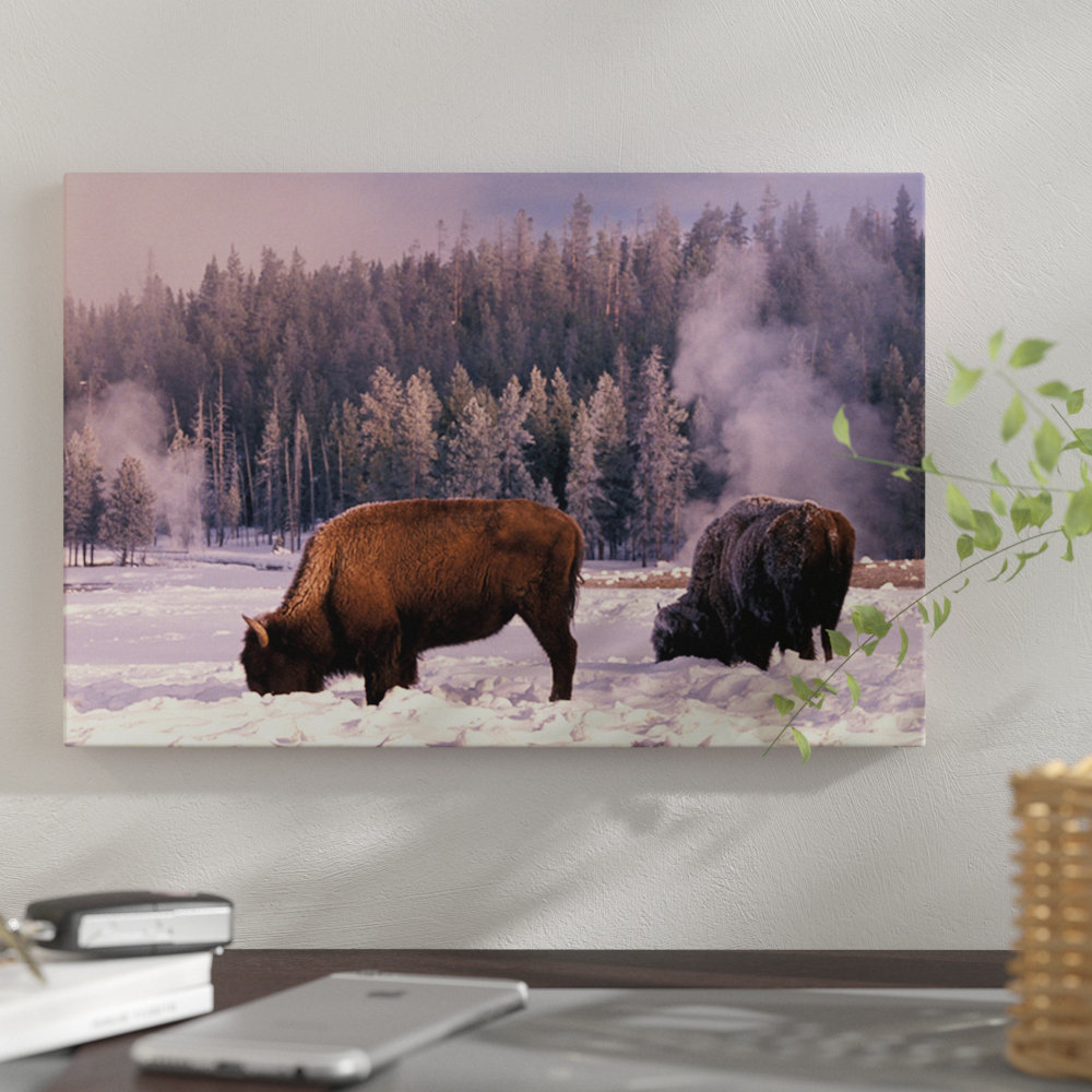 " Foraging Bison (American Buffalo) In Winter, Yellowstone National Park, Wyoming, USA " by Art Wolfe East Urban Home Mat 