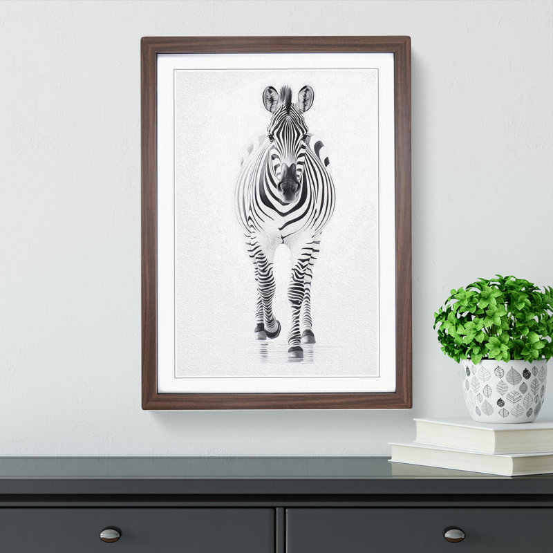 Zebra Gestural - Single Picture Frame Print on Wood, Walnut, 64cm H x 46cm W x 2cm D
