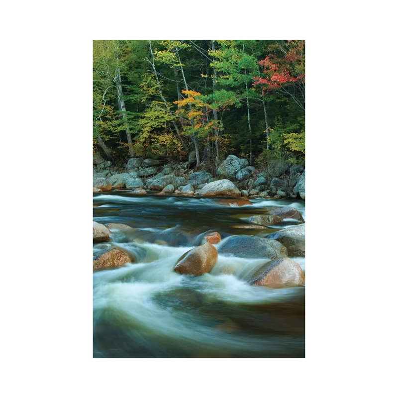 USA, New Hampshire. Autumn Trees And Flowing River. by Jaynes Gallery - Wrapped Canvas Gallery-Wrapped Canvas Giclée