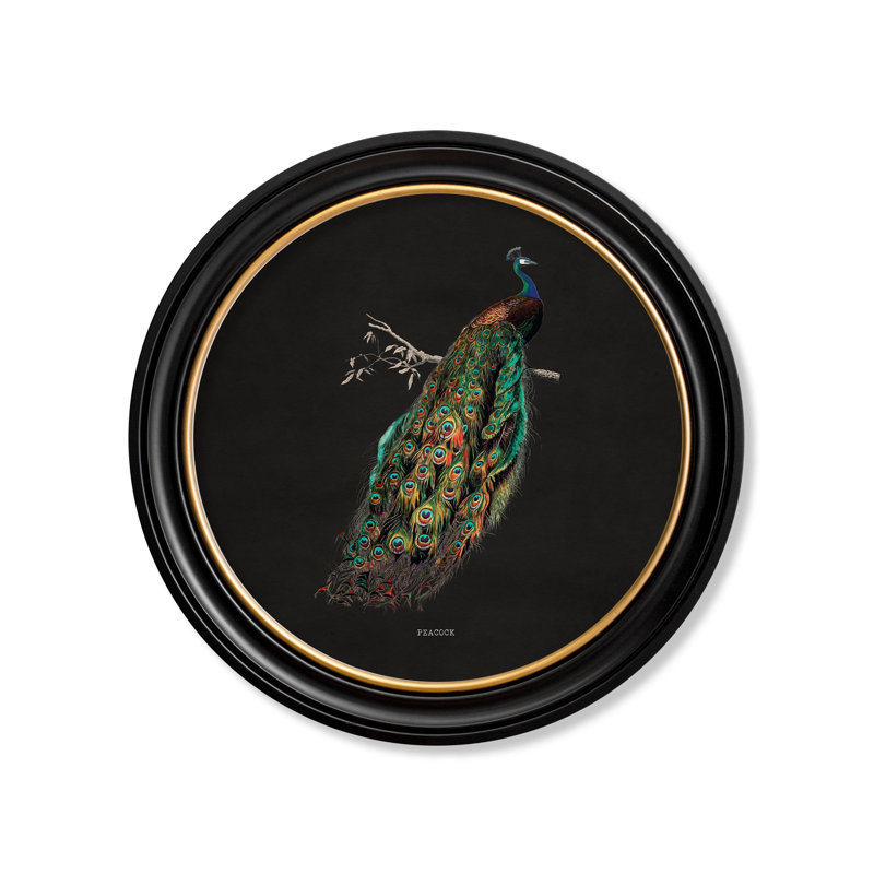 1847 Peacock by Mid-1800s - Single Picture Frame Print on Archival Matt 230gsm Paper, Black