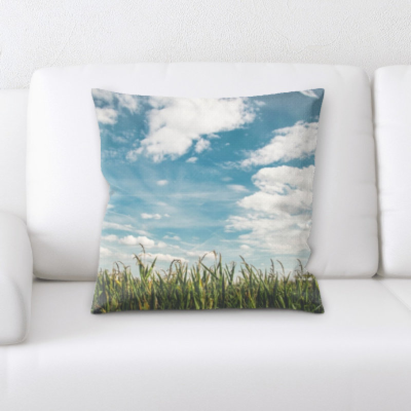 Housse de coussin Remus