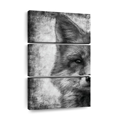 " Fox Face Black And White " by BlackBlood Arts 3 - Pieces
