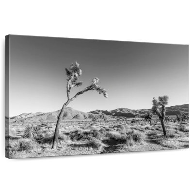 Harnek Joshua Tree National Park, monochrome