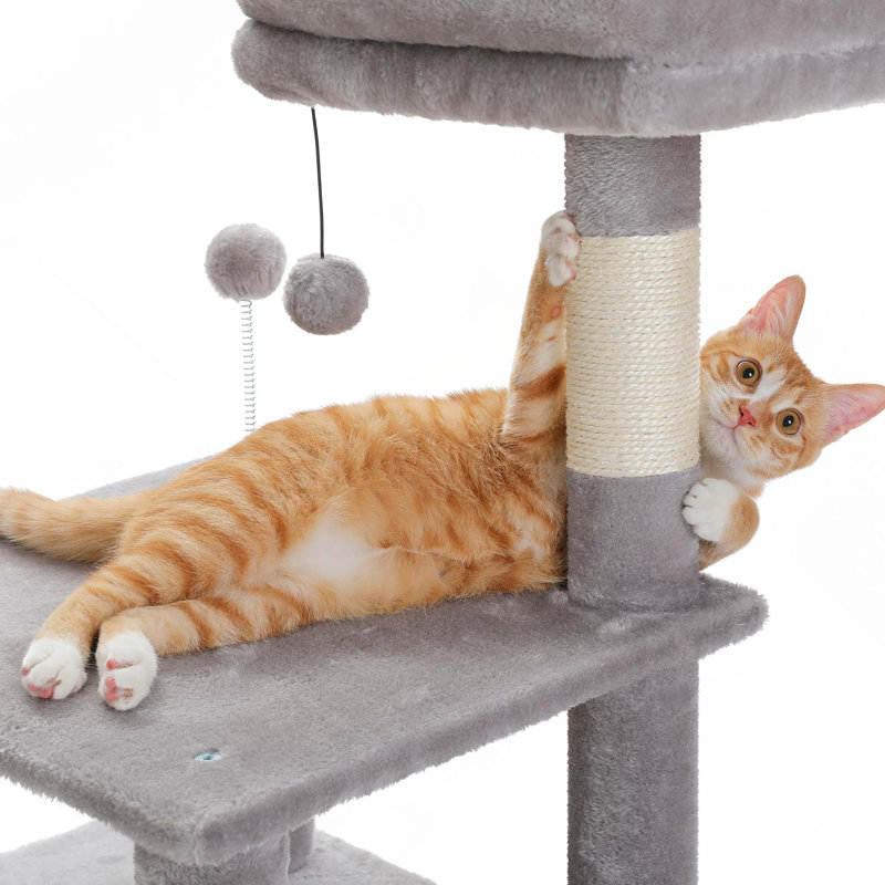 Arbre à chat d'intérieur avec hamac, 2 perchoirs, poteaux à griffer et grand condo