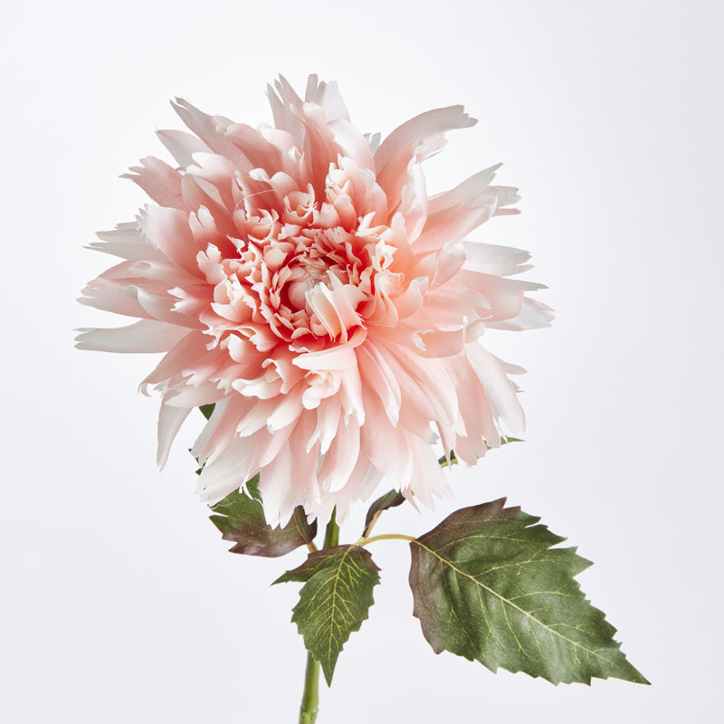 30-Inch Chrysanthemum Stem, Pink
