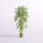 Silk Bamboo Tree in Basket
