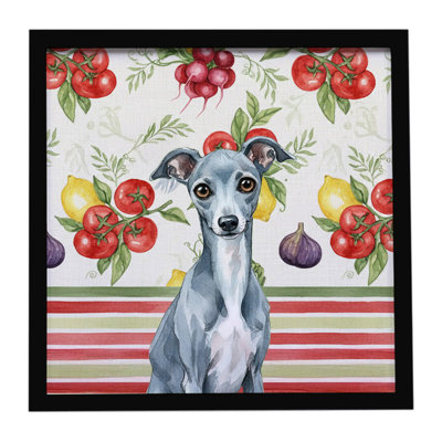 Blue Italian Greyhound Vegetables Framed Metal Print