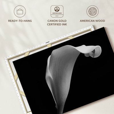 Lys Calla monochrome