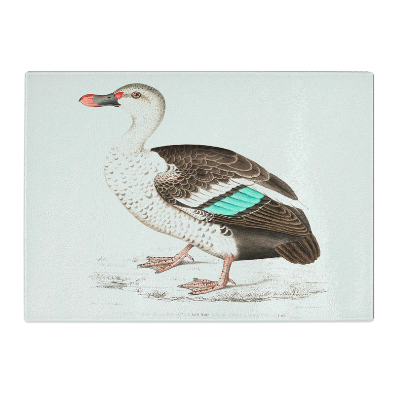 Tempered Glass Spotted Billed Duck Illustration by John Edward Gray Chopping Board, 39 cm x 28.5 cm