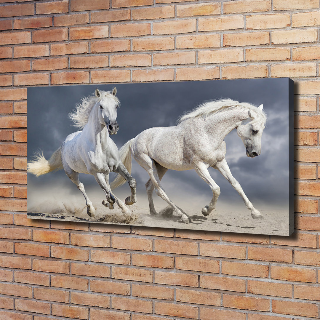 Weiße Pferde am Strand - Kunstdrucke auf Leinwand