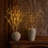 Lighted Birch Tree Branches